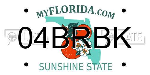 04BRBK Florida License Plate