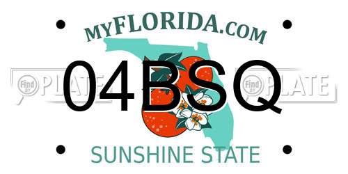 04BSQ Florida License Plate