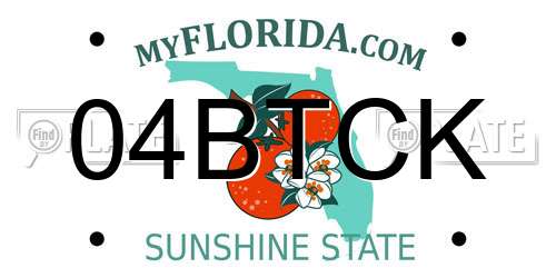 04BTCK Florida License Plate