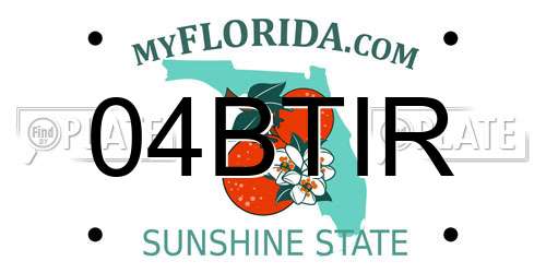 04BTIR Florida License Plate