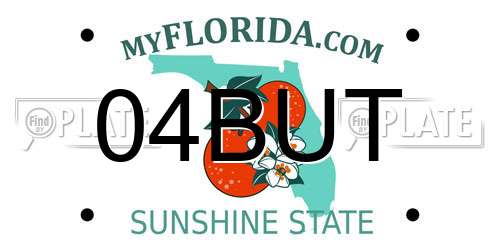 04BUT Florida License Plate