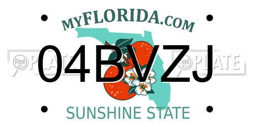 04BVZJ Florida License Plate