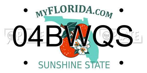 04BWQS Florida License Plate