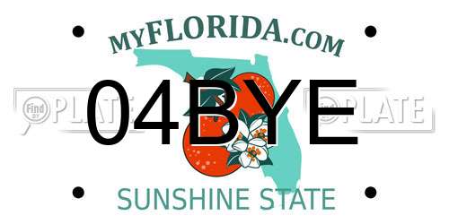 04BYE Florida License Plate