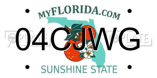 04CJWG Florida License Plate