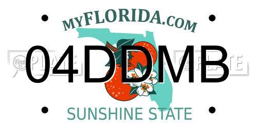 04DDMB Florida License Plate
