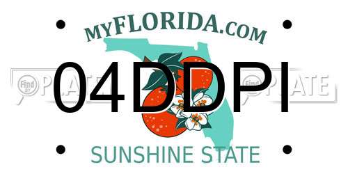 04DDPI Florida License Plate