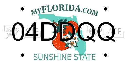 04DDQQ Florida License Plate