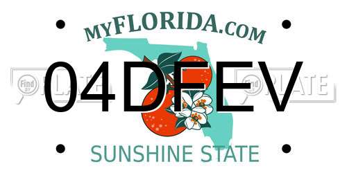 04DFEV Florida License Plate