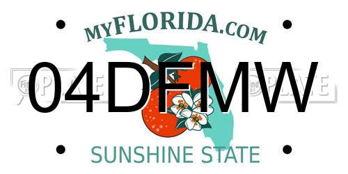 04DFMW Florida License Plate