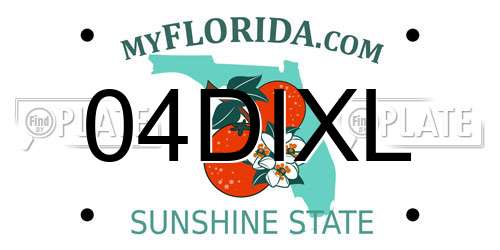 04DIXL Florida License Plate
