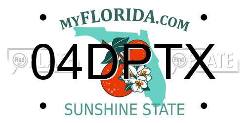 04DPTX Florida License Plate