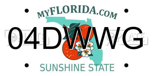 04DWWG Florida License Plate