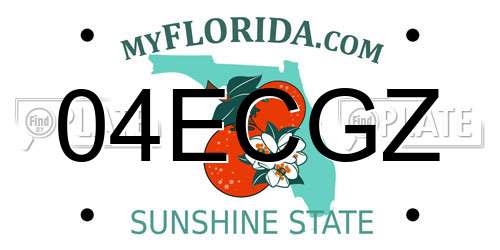 04ECGZ Florida License Plate