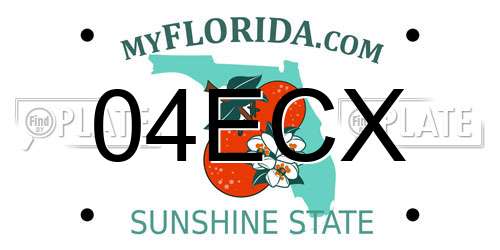 04ECX Florida License Plate