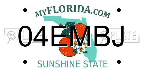 04EMBJ Florida License Plate
