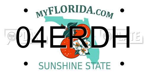 04ERDH Florida License Plate