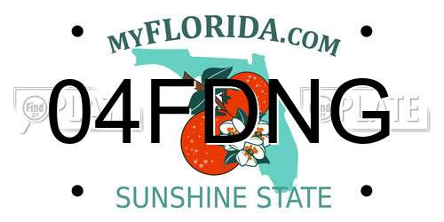 04FDNG Florida License Plate