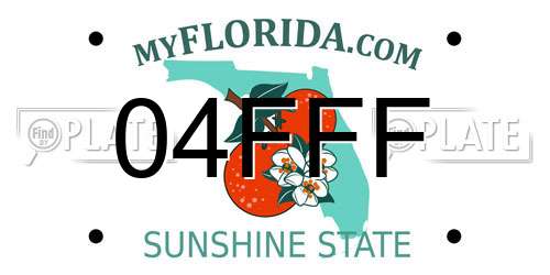 04FFF Florida License Plate