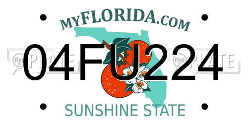 04FU224 Florida License Plate