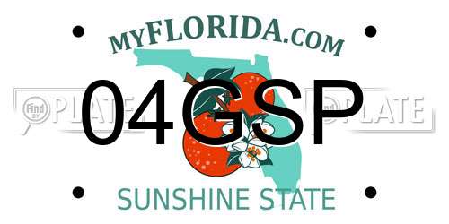 04GSP Florida License Plate