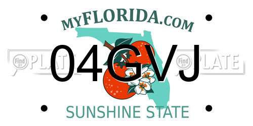 04GVJ Florida License Plate
