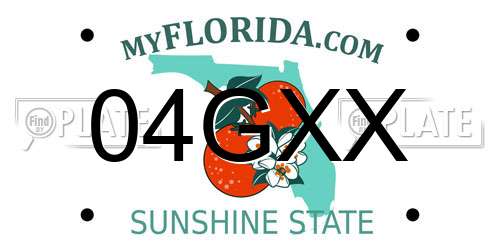 04GXX Florida License Plate