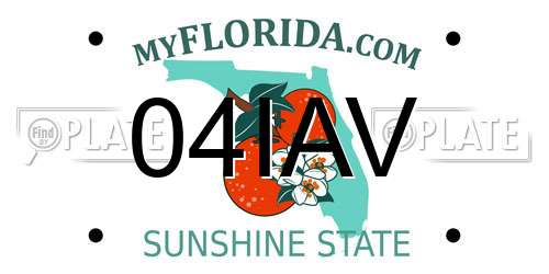 04IAV Florida License Plate