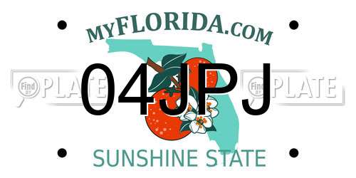04JPJ Florida License Plate