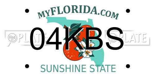 04KBS Florida License Plate