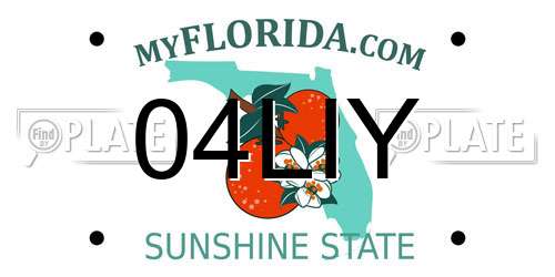 04LIY Florida License Plate