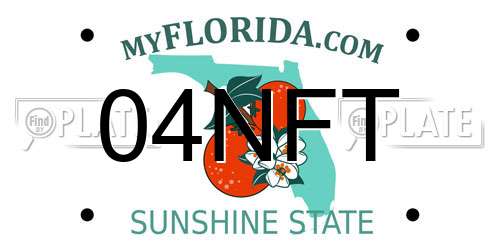 04NFT Florida License Plate