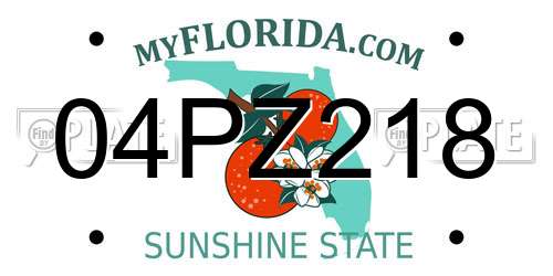 04PZ218 Florida License Plate