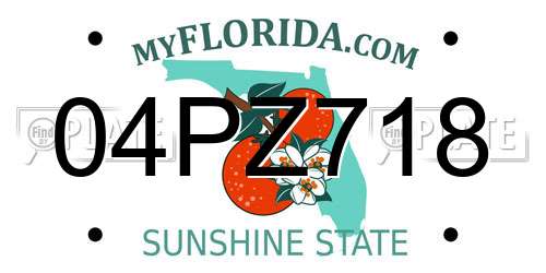 04PZ718 Florida License Plate