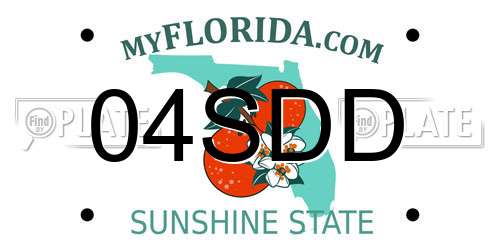 04SDD Florida License Plate