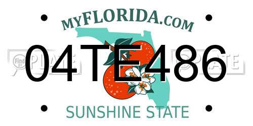04TE486 Florida License Plate