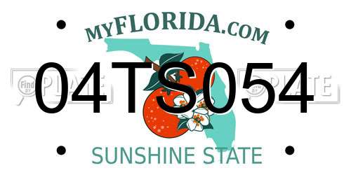 04TS054 Florida License Plate