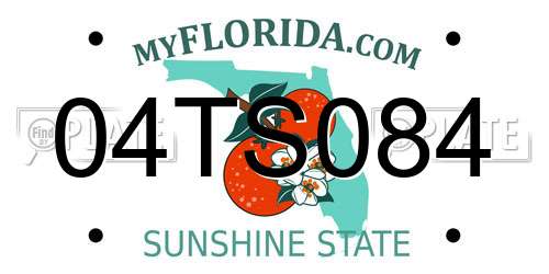 04TS084 Florida License Plate