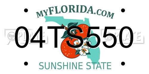 04TS550 Florida License Plate