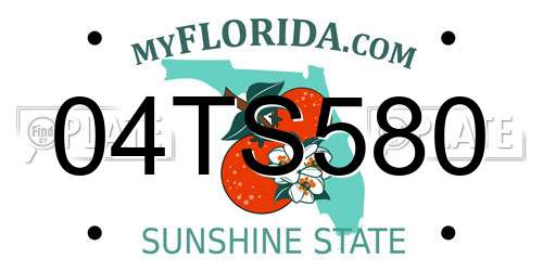 04TS580 Florida License Plate