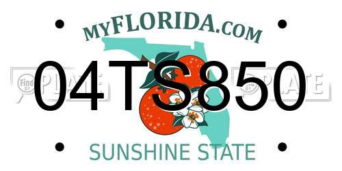 04TS850 Florida License Plate