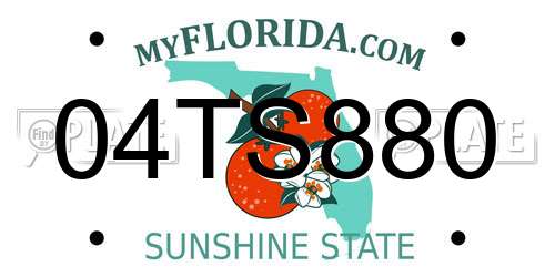 04TS880 Florida License Plate