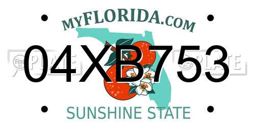 04XB753 Florida License Plate
