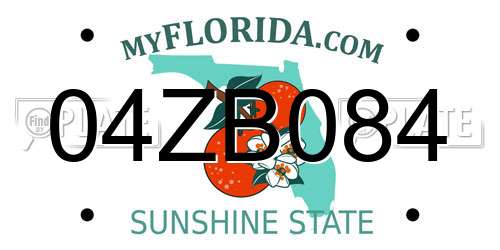 04ZB084 Florida License Plate