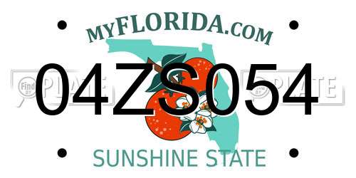 04ZS054 Florida License Plate