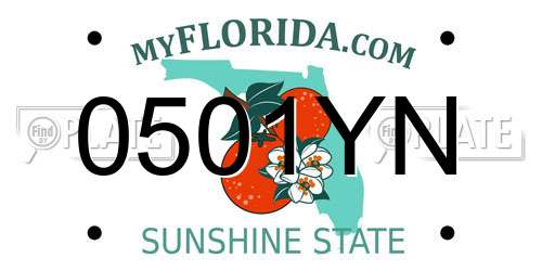 0501YN Florida License Plate