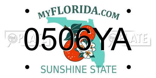 0506YA Florida License Plate