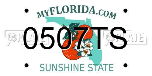 0507TS Florida License Plate