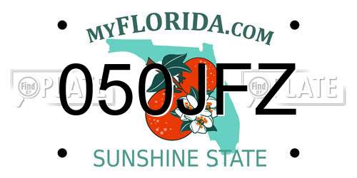 050JFZ Florida License Plate