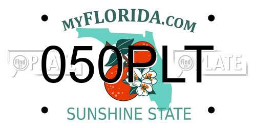 050PLT Florida License Plate